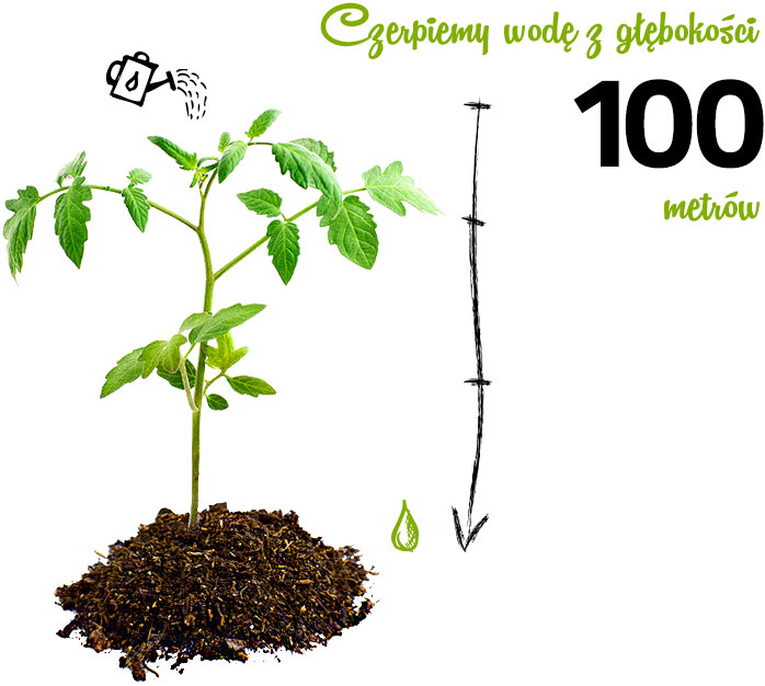 Czerpiemy wodę z głębokości 100 metrów Czerpiemy wodę z głębokości 100 metrów